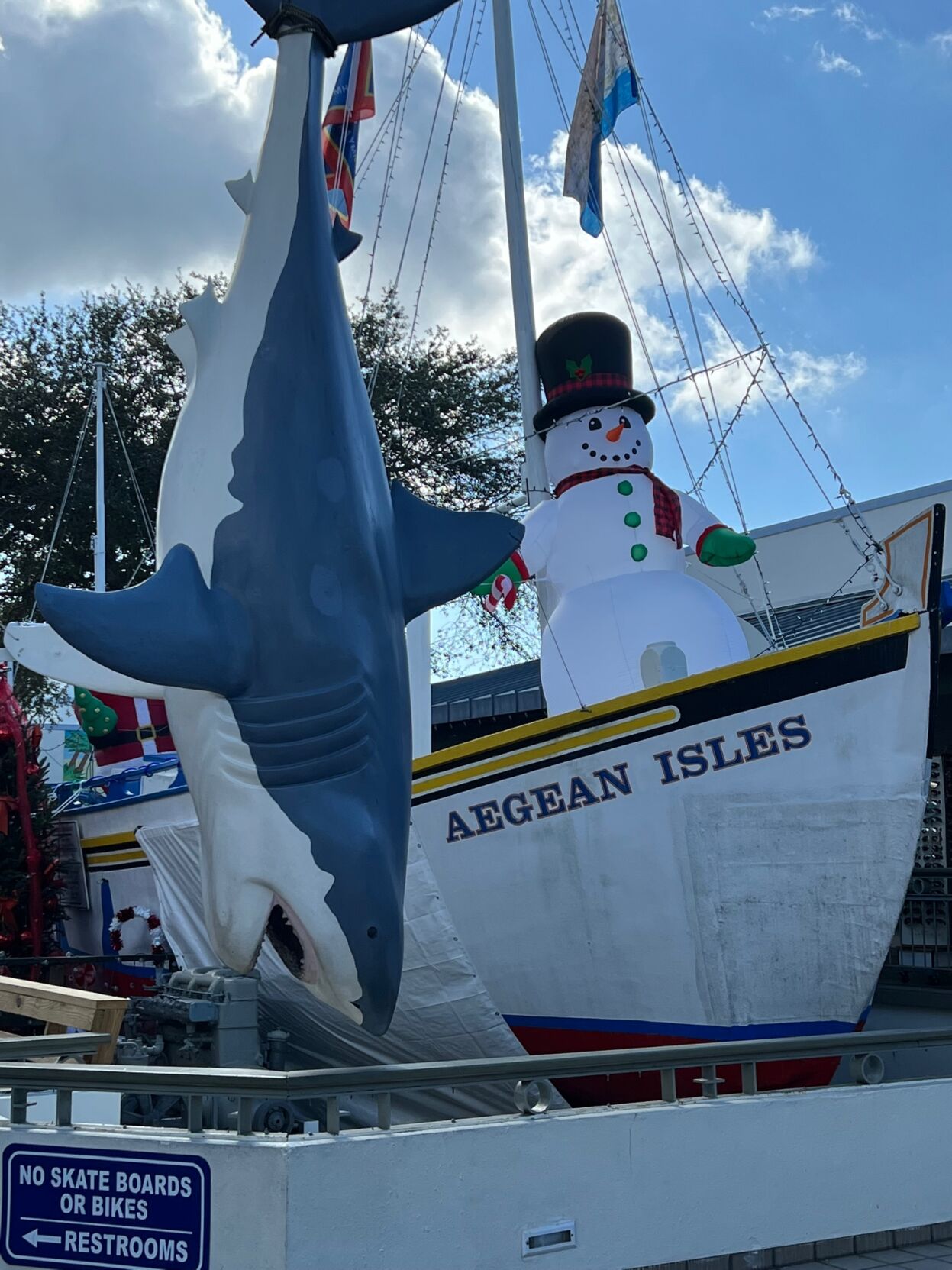 Nuostabus kaimas7. Vietinė spalva Tarpon Springs doke..jpg